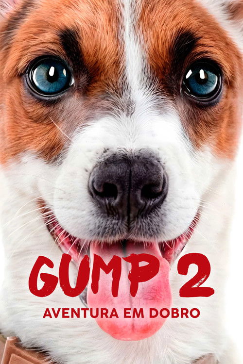 Gump 2 – Aventura em Dobro Torrent WEB-DL (2024) Dual Áudio