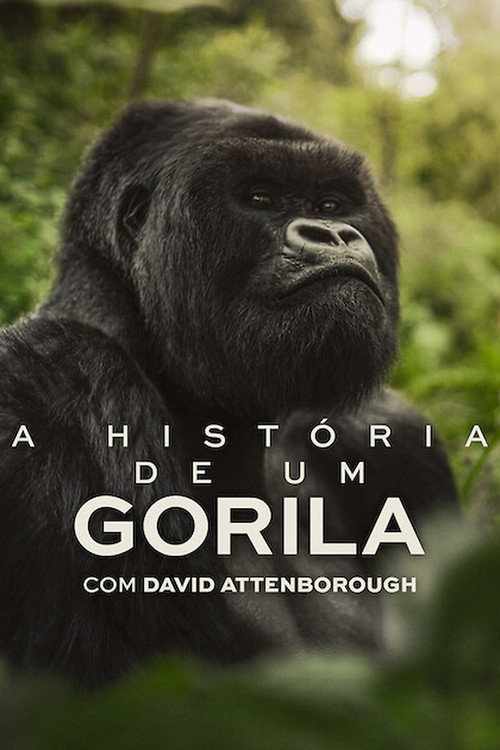 A História de Um Gorila com David Attenborough Torrent WEB-DL (2026) Dual Áudio e Legendado