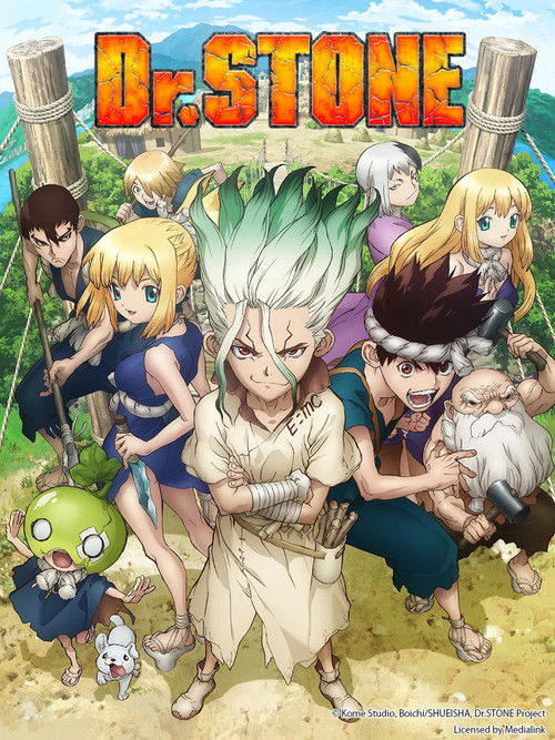 Dr. Stone 1ª, 2ª e 3ª Temporada Torrent WEB-DL (2019) Legendado