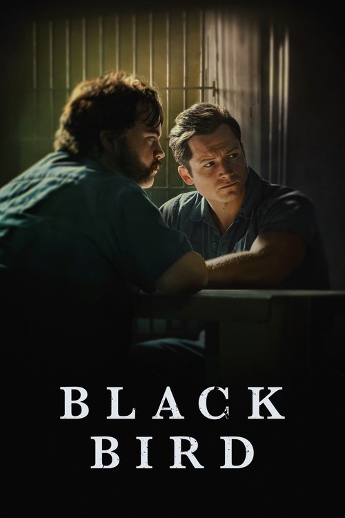 Black Bird 1ª Temporada Torrent WEB-DL (2022) Dual Áudio e Legendado