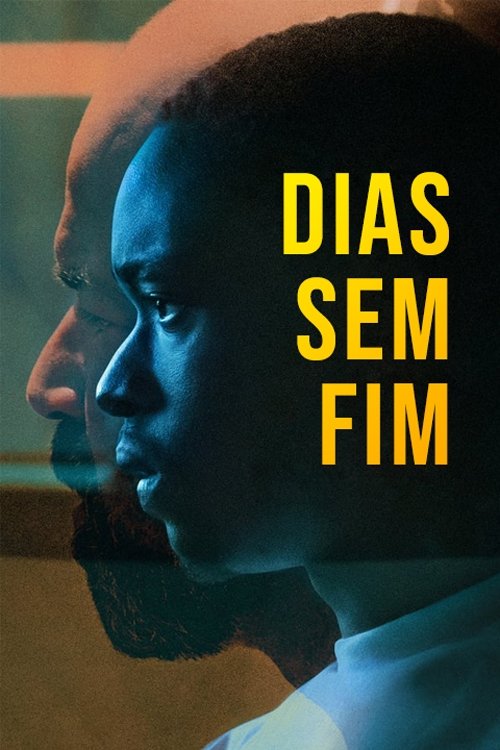 Dias Sem Fim Torrent WEB-DL (2020) Dual Áudio e Legendado